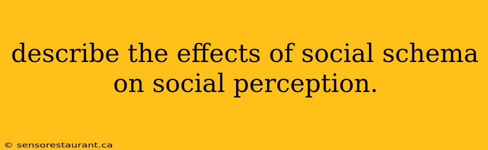 describe the effects of social schema on social perception.