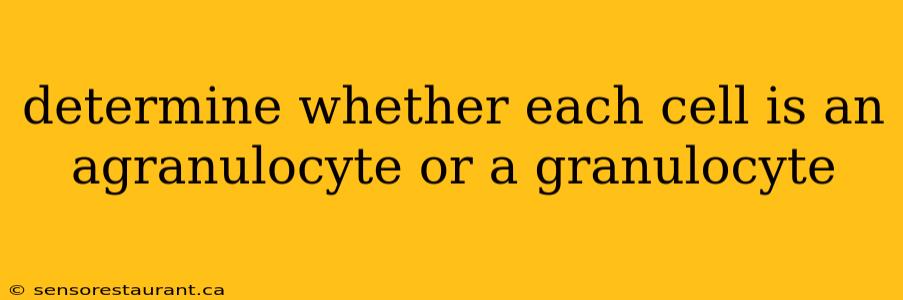 determine whether each cell is an agranulocyte or a granulocyte