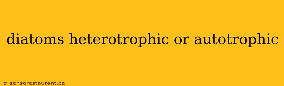 diatoms heterotrophic or autotrophic