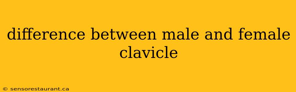 difference between male and female clavicle