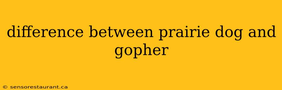 difference between prairie dog and gopher