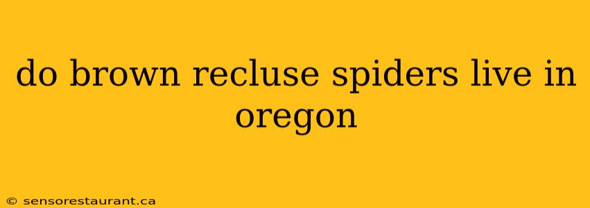 do brown recluse spiders live in oregon