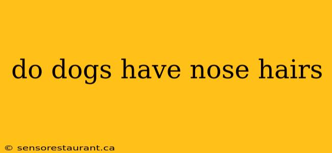 do dogs have nose hairs