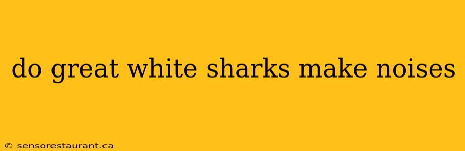 do great white sharks make noises