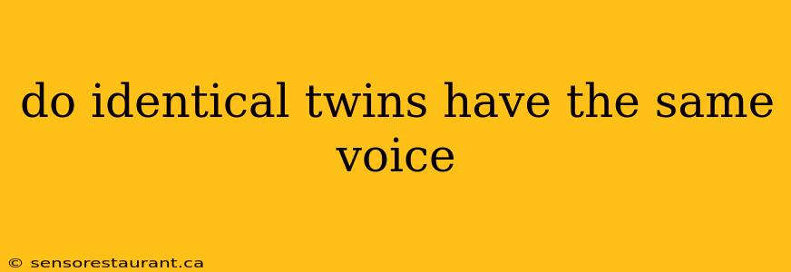 do identical twins have the same voice