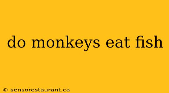 do monkeys eat fish