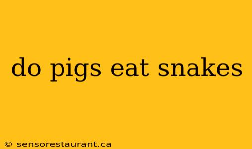 do pigs eat snakes