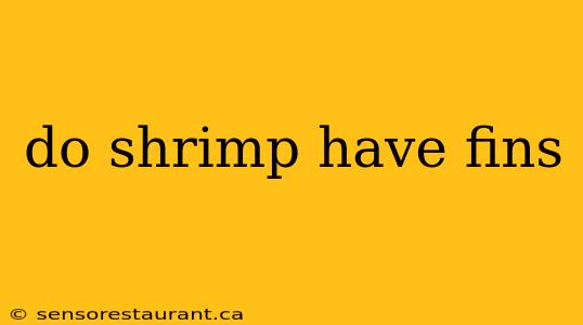 do shrimp have fins