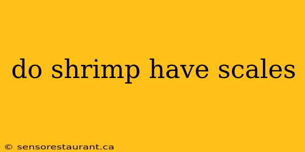 do shrimp have scales