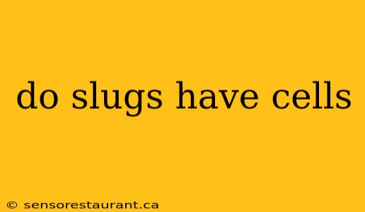 do slugs have cells