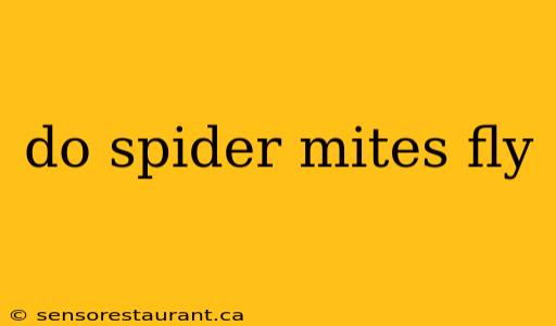 do spider mites fly