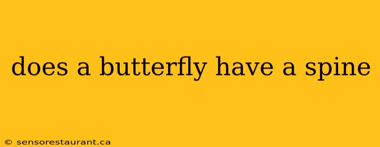 does a butterfly have a spine