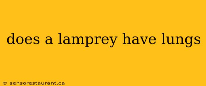 does a lamprey have lungs