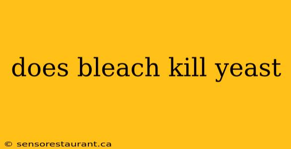 does bleach kill yeast