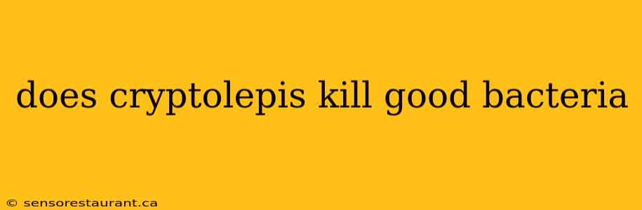 does cryptolepis kill good bacteria