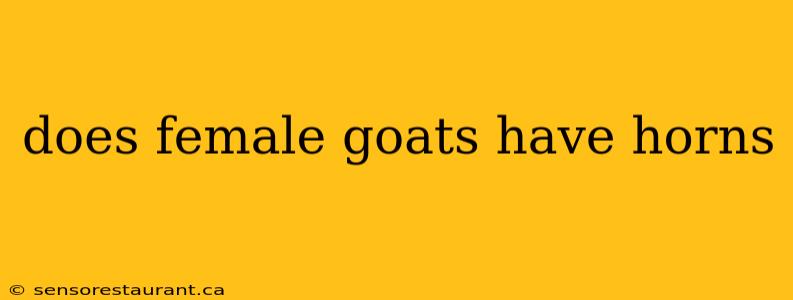 does female goats have horns