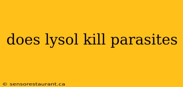 does lysol kill parasites