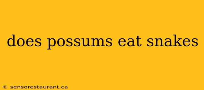 does possums eat snakes