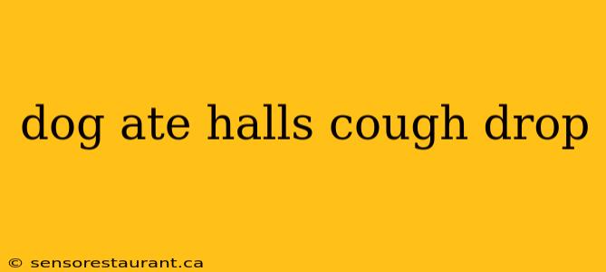 dog ate halls cough drop