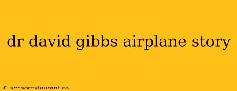 dr david gibbs airplane story