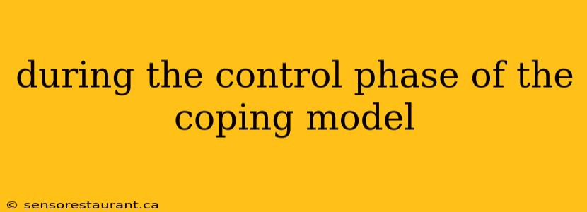 during the control phase of the coping model