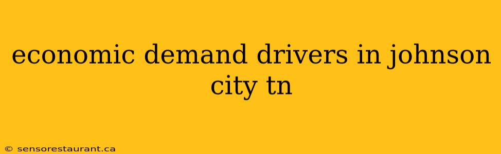 economic demand drivers in johnson city tn