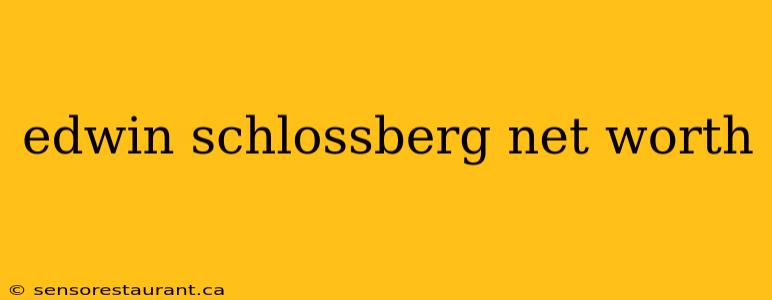 edwin schlossberg net worth