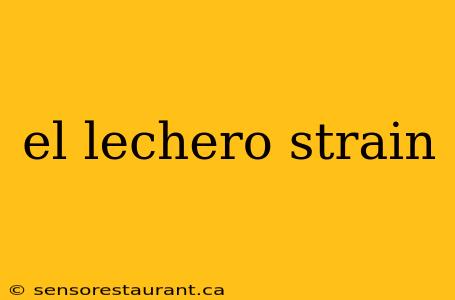 el lechero strain