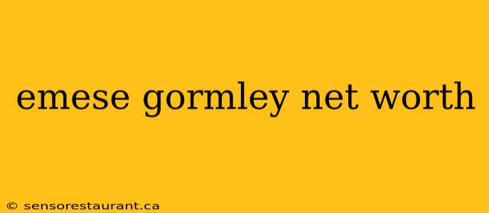 emese gormley net worth