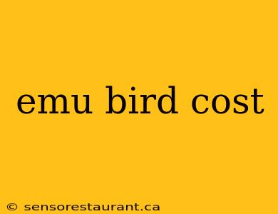 emu bird cost