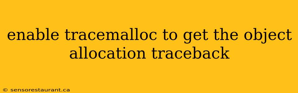 enable tracemalloc to get the object allocation traceback