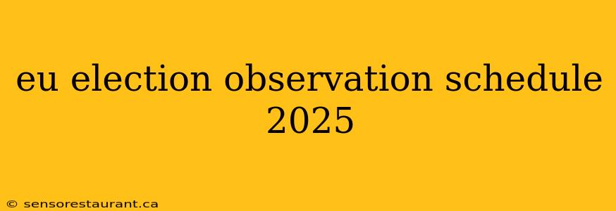 eu election observation schedule 2025