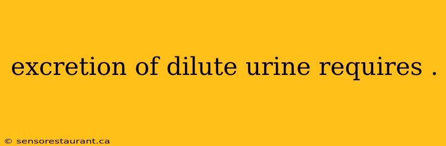 excretion of dilute urine requires .