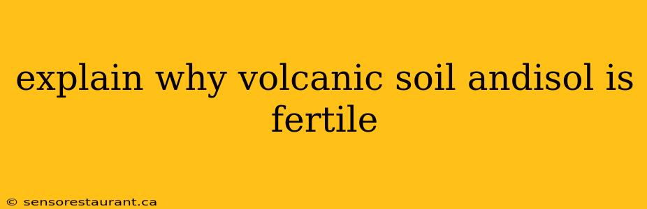 explain why volcanic soil andisol is fertile