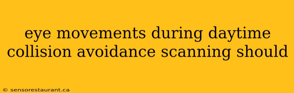 eye movements during daytime collision avoidance scanning should