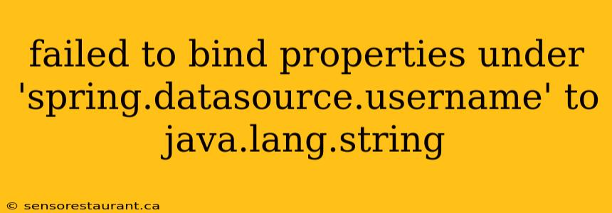 failed to bind properties under 'spring.datasource.username' to java.lang.string