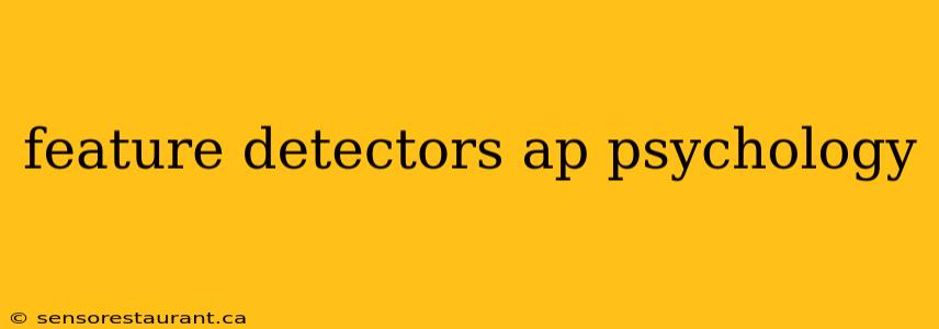 feature detectors ap psychology