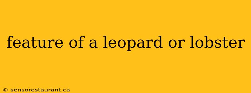 feature of a leopard or lobster