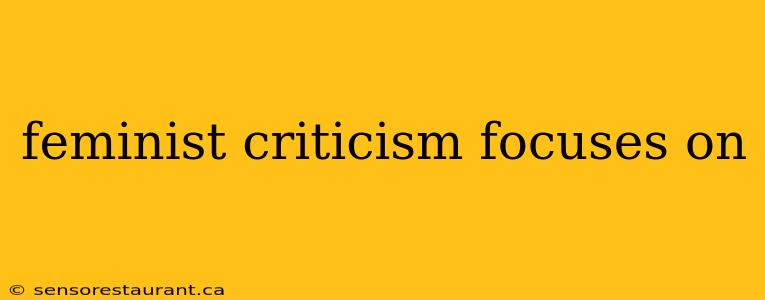 feminist criticism focuses on