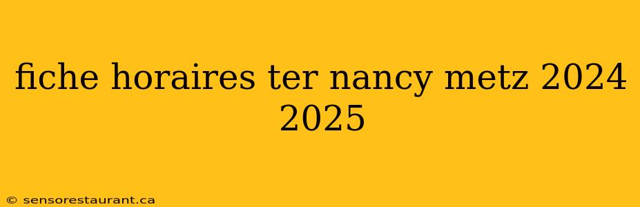 fiche horaires ter nancy metz 2024 2025