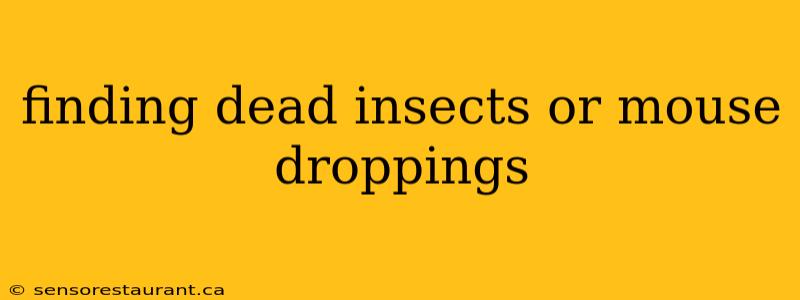 finding dead insects or mouse droppings