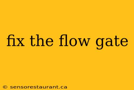 fix the flow gate