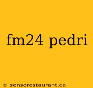 fm24 pedri