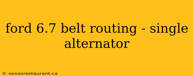 ford 6.7 belt routing - single alternator