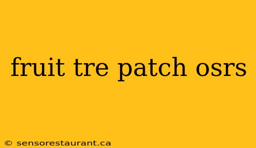 fruit tre patch osrs