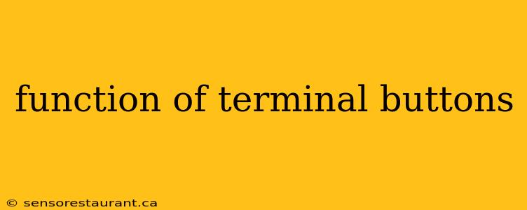 function of terminal buttons