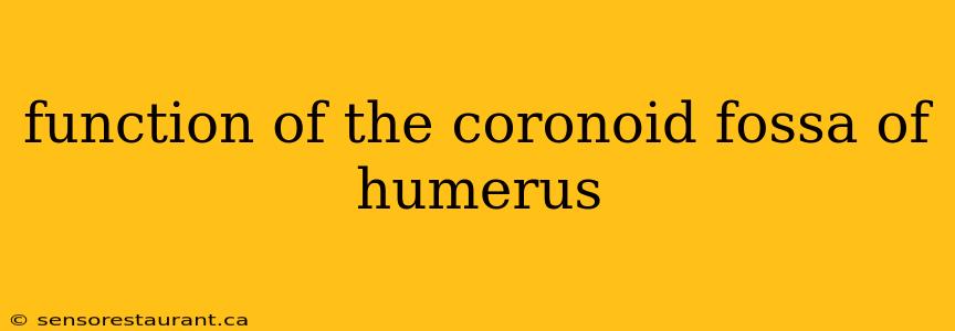 function of the coronoid fossa of humerus