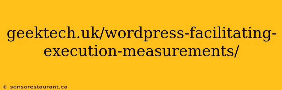 geektech.uk/wordpress-facilitating-execution-measurements/