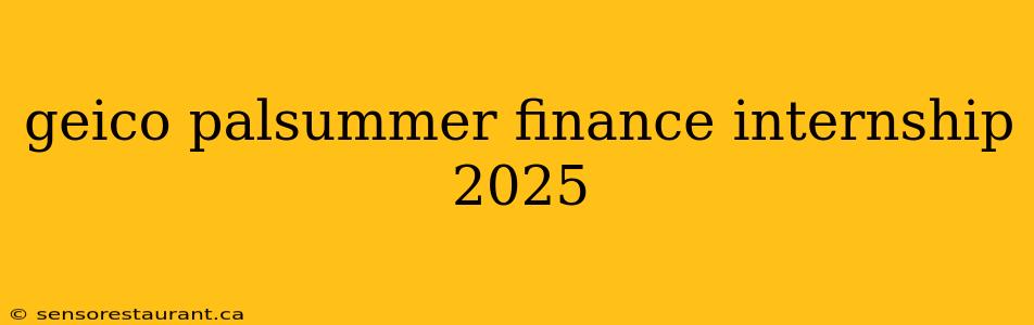 geico palsummer finance internship 2025