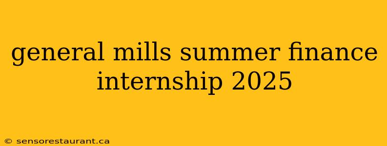 general mills summer finance internship 2025